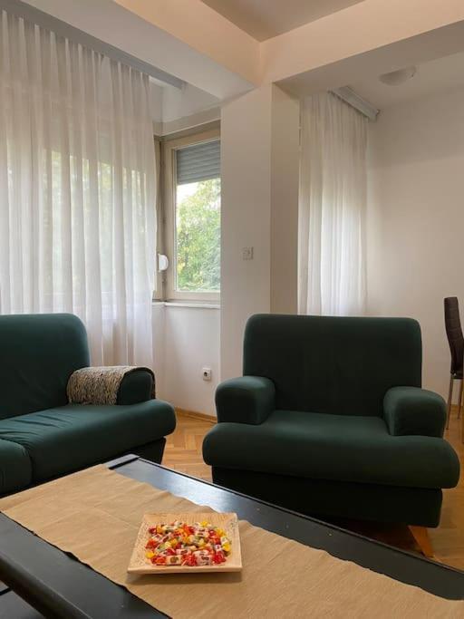 Spacious Family-friendly Skopje