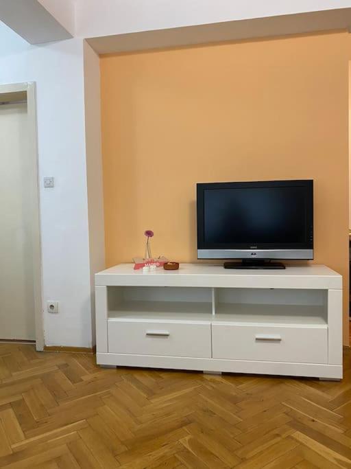 Spacious Family-friendly Apartment